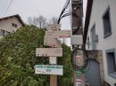 Les Alliés